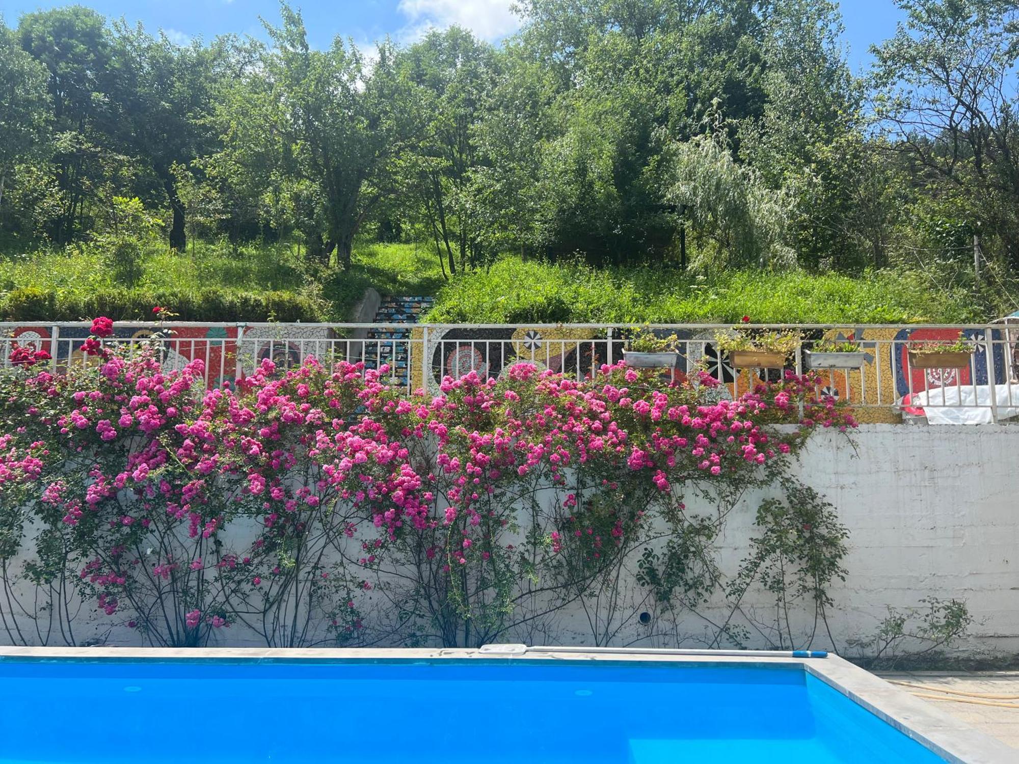 Dilijan Duplex Βίλα Εξωτερικό φωτογραφία
