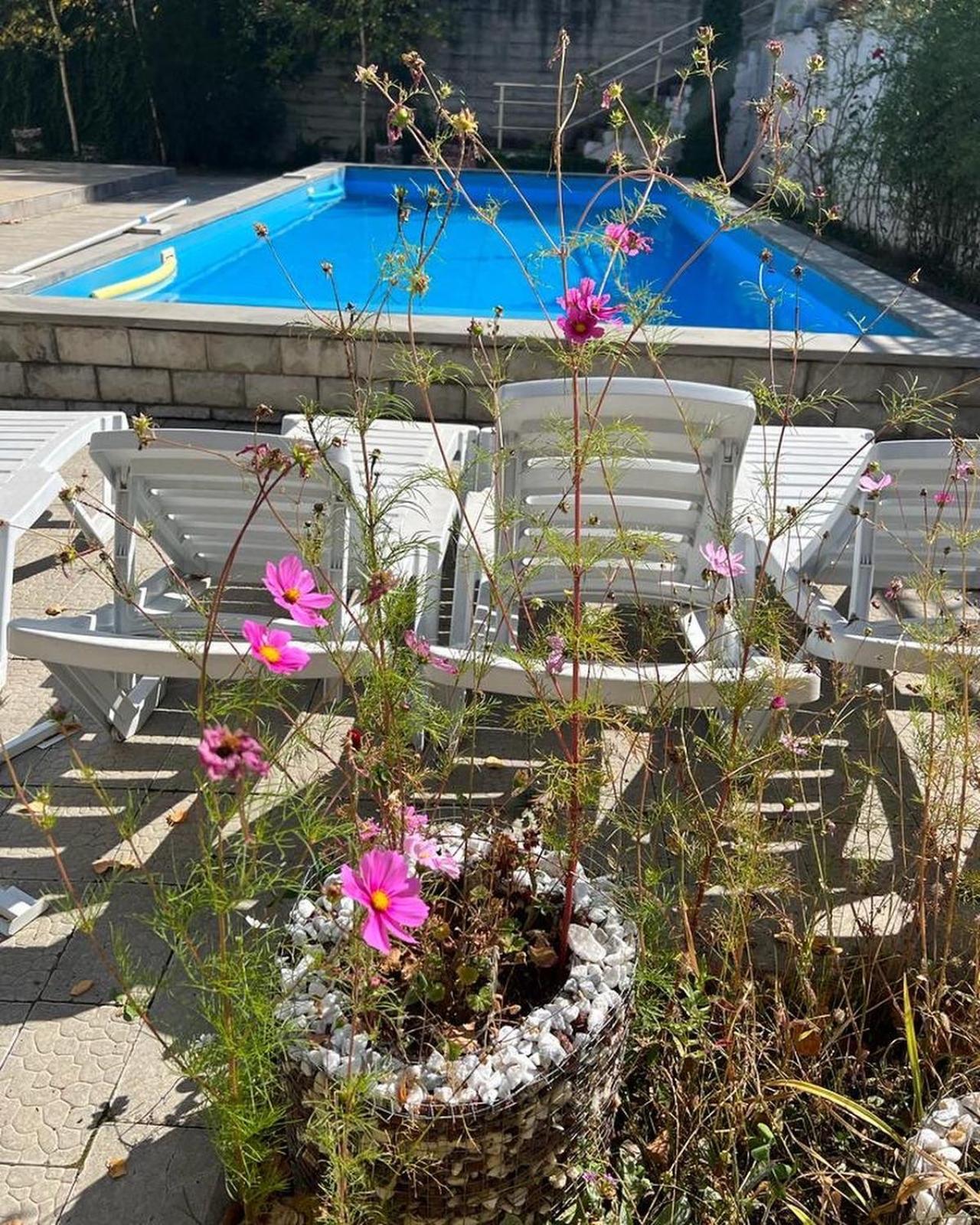 Dilijan Duplex Βίλα Εξωτερικό φωτογραφία