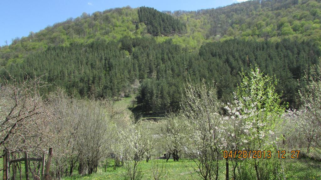 Dilijan Duplex Βίλα Εξωτερικό φωτογραφία