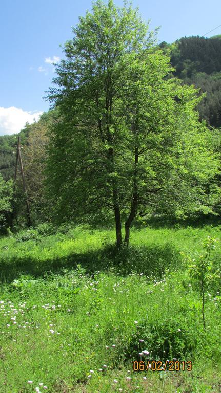 Dilijan Duplex Βίλα Εξωτερικό φωτογραφία
